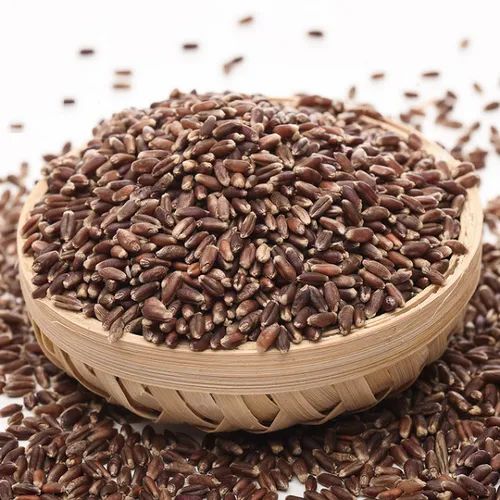 Black Wheat Seed