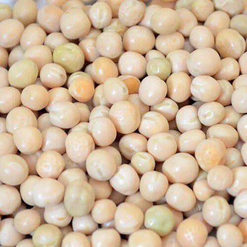 White Pea Beans