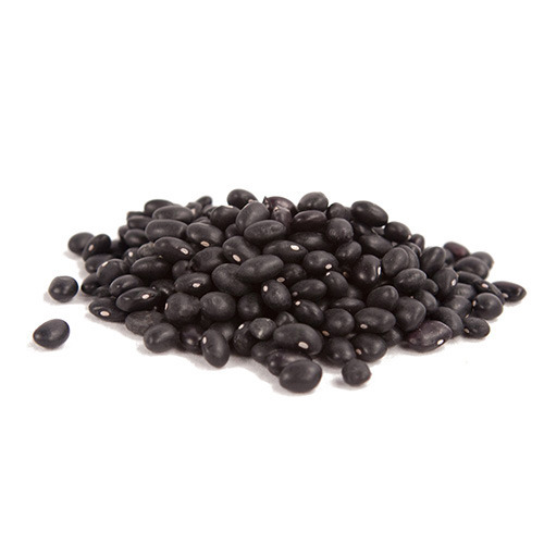 Black Bean