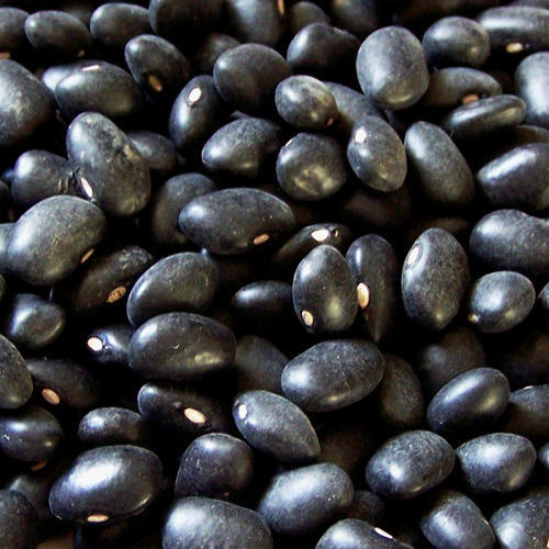 Black Soybean