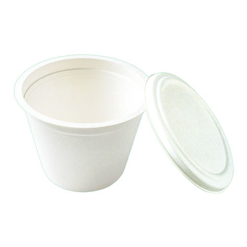 Biodegradable Container