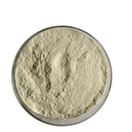 Food Grade Guar Gum Powder