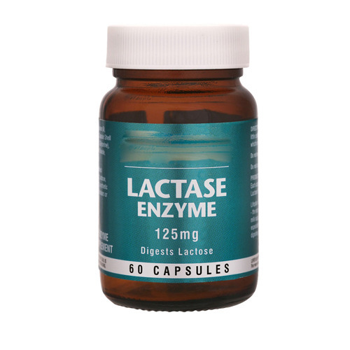 Lactase Enzyme