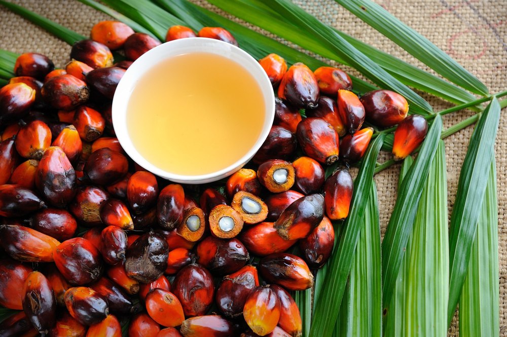 Palm Olein Oil, Packaging Type: Plastic Bottle, Packaging Size: 1 Litre img