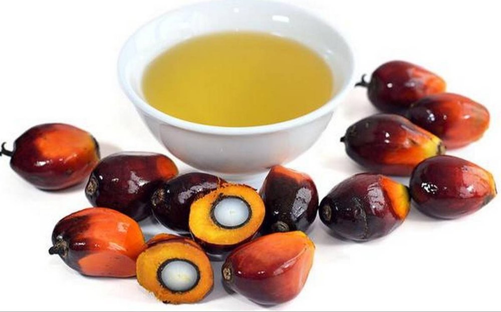 Ruchi Gold Mono Saturated Refined And Crude Palm Oil, Packaging Type: Plastic Container, Packaging Size: 1 litre