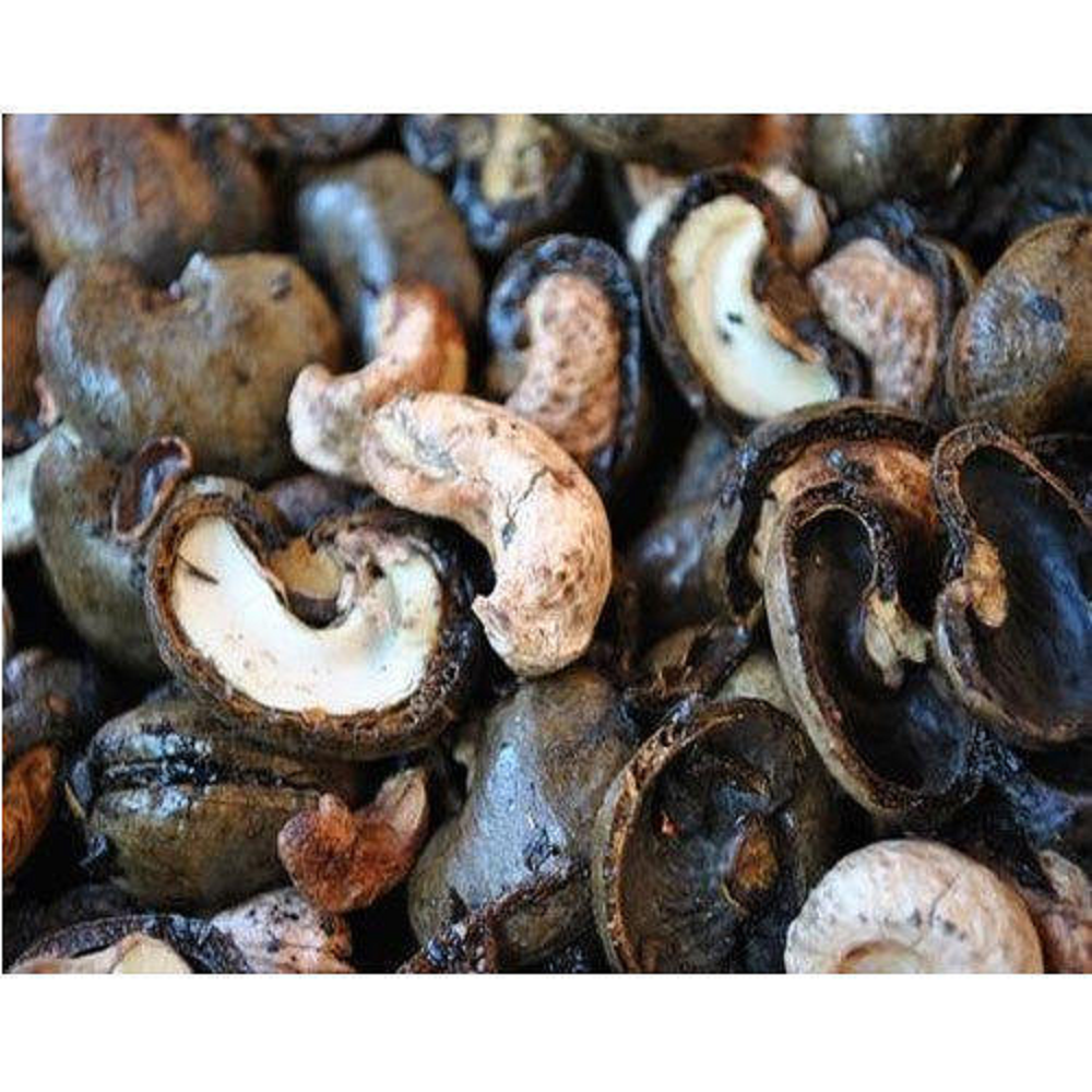 Liquid Oil Cashew Nut Shell, For Industrial, Packaging Size: Poly Bag