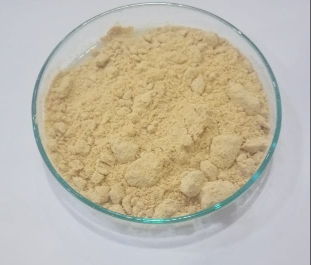 Lecithin Powder, Packaging Size: 1 kg