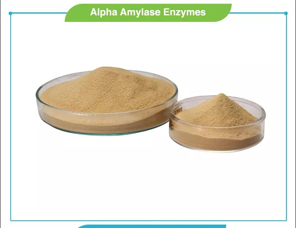 Food Enzymes Powder, Packaging Size: 25 Kg / 50 Kg