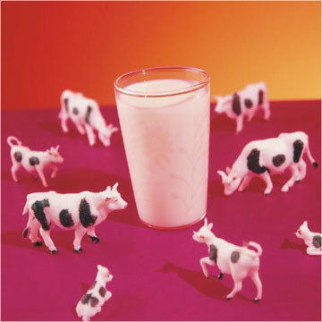 Milk Flavour For Milk Products, Dairy, Milk Shakes, Packaging Type: Bottle