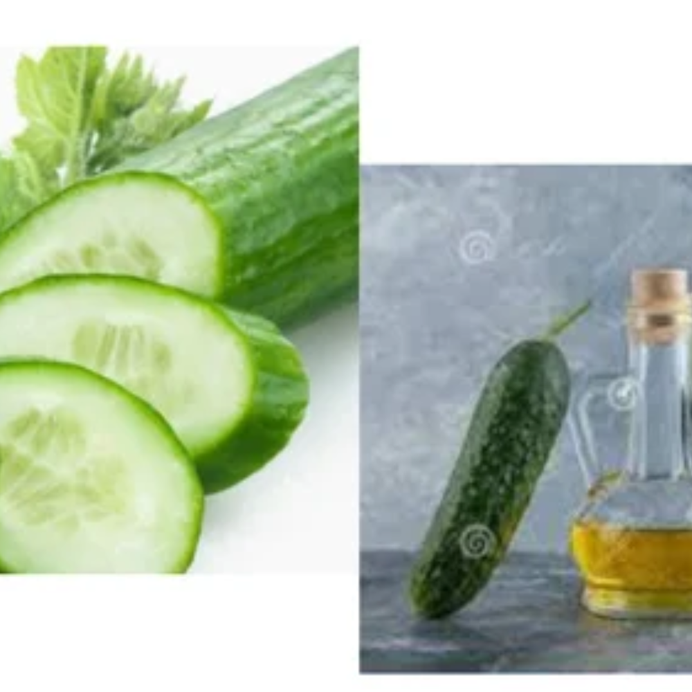 HERBO NUTRA Cucumber Vegetable Oil, Packaging Type: Plastic Container, Packaging Size: 1 litre img