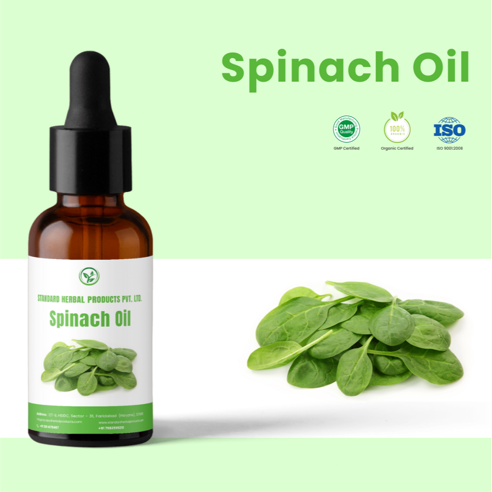Standar Spinach Oil, Packaging Type: Cane, Unit Pack Size: 25 KG img
