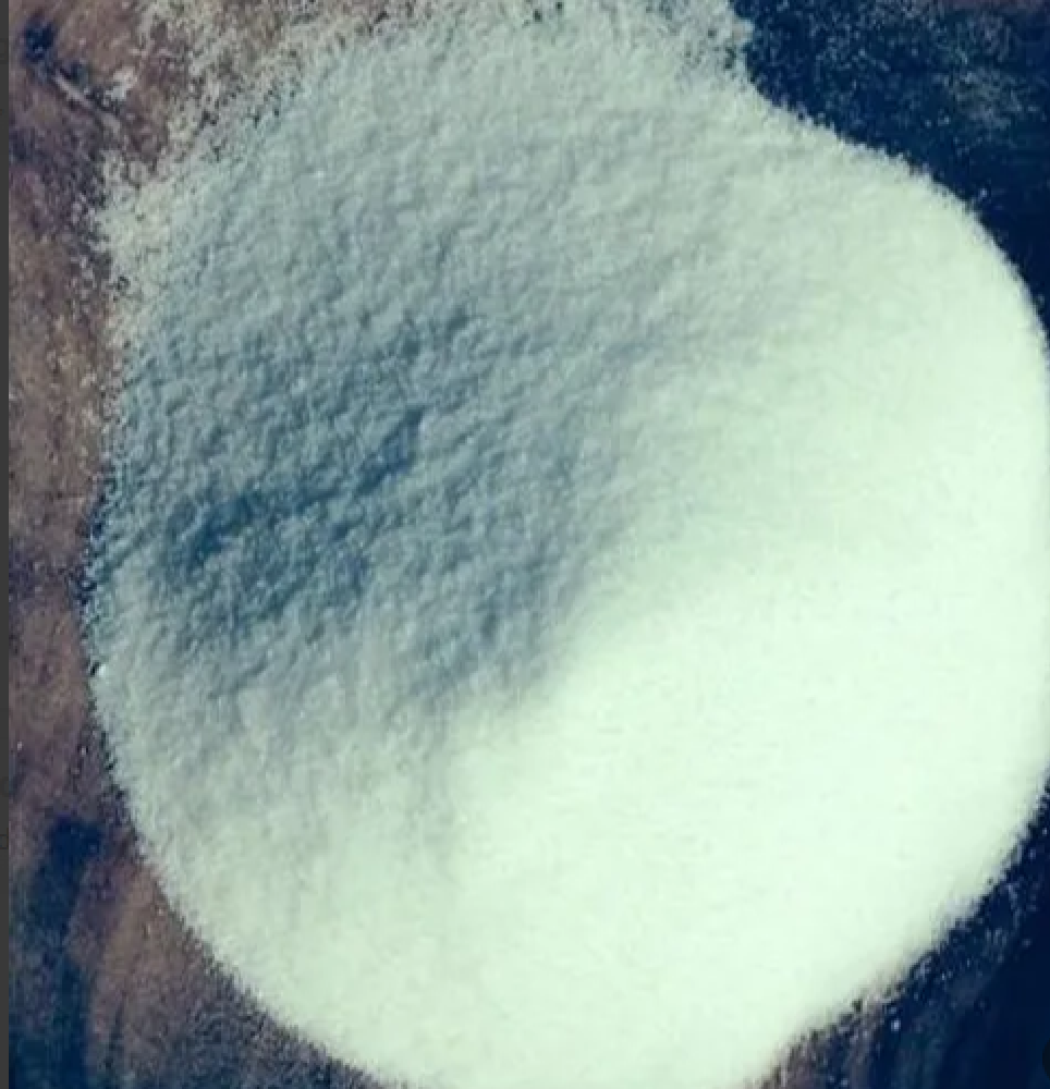 Pure Dried Vacuum Salt, Packaging Size: 50 Kg