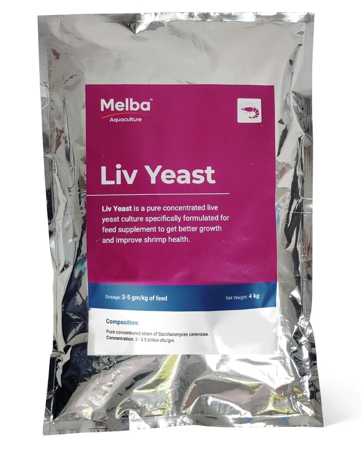 Liv Yeast - Pure Concentrated Live Yeast - 4 Kg, For Shrimp Farm, Packaging Type: Packet