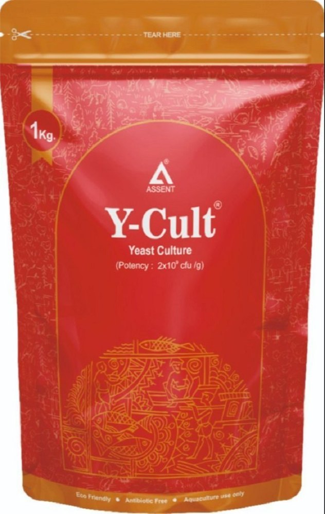 Y-Cult (Yeast Culture), For Feed Application: 10gm/kg feed, Packaging Size: 1 kg