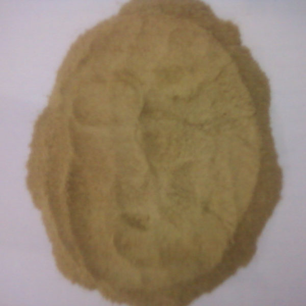 Molasses Dried Yeast Powder, Packaging Type: Packet