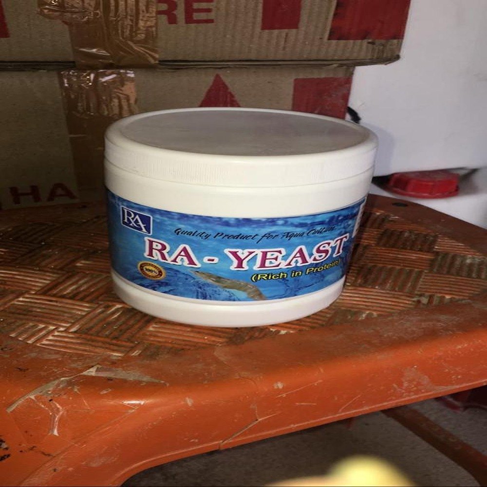 Ra-Yeast Rich Protein, Packaging Type: Box, Powder