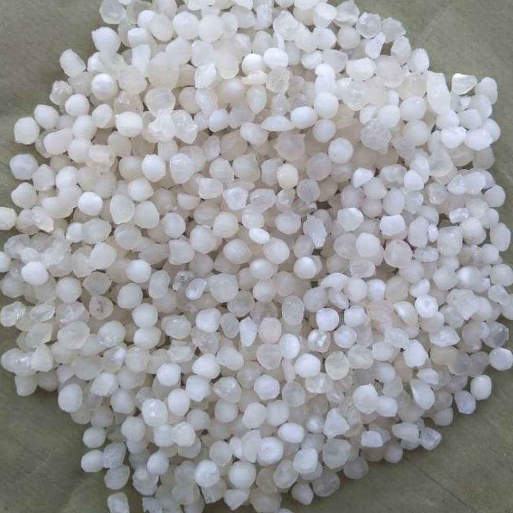 Natural Tapioca Pearl Sago Seeds, For Food, Packaging Type: Loose