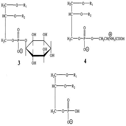 Emulsifiers - Finamul-9500 Distilled Monoglyceride