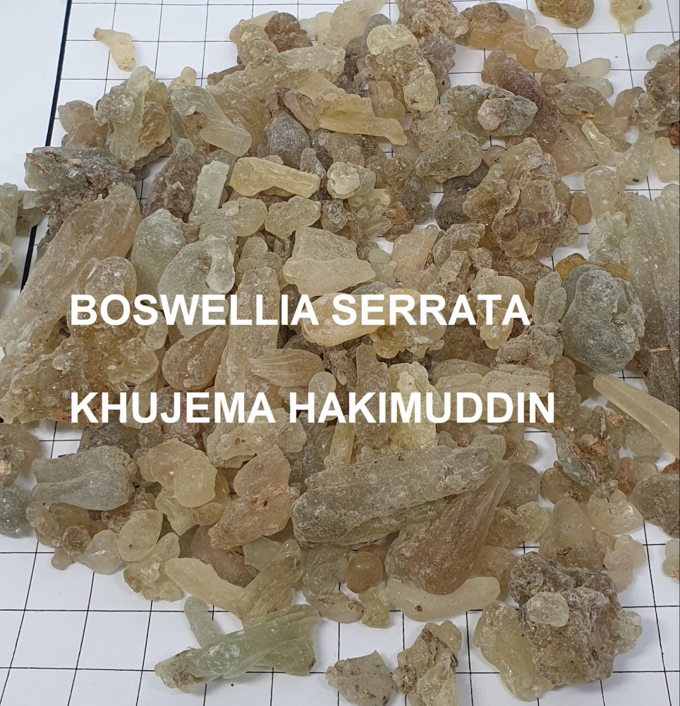 Solid Boswellia Serrata / Mora Dhoop / Gum Olibanum / Frankincense, Packaging Size: Standard, Packaging Type: Box