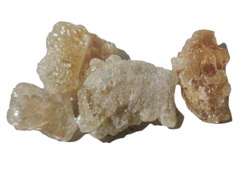 Extracts Boswellia Serrata Gum, Treatment: Chronic Inflammatory Diseases., Packaging Type: Loose