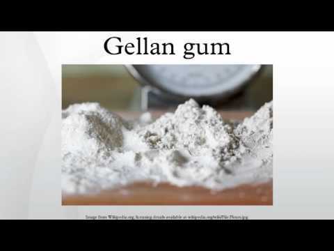 Gellan Gum