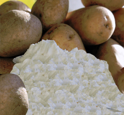 Powder Potato Starch, For Industrial, Packaging Size: 25-50 Kg