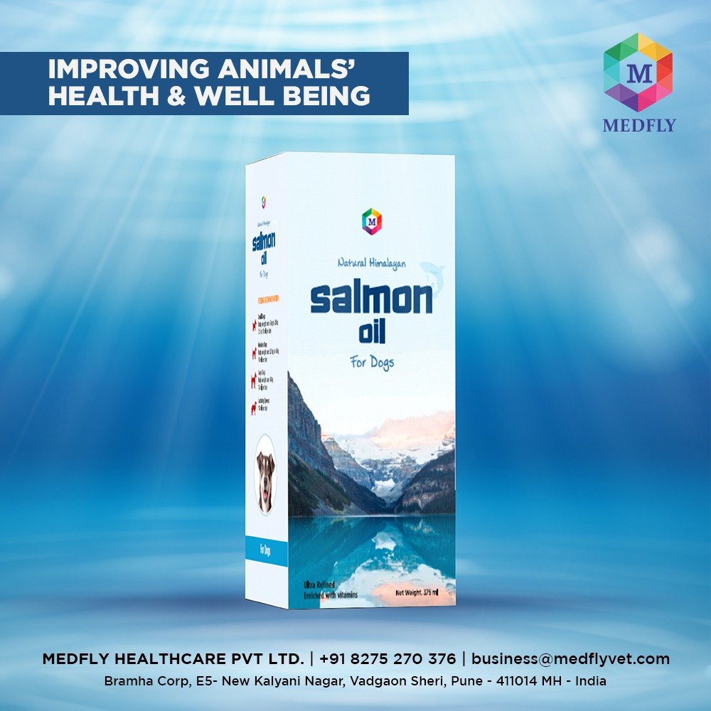 Salmon Oil For Dogs - 375ml img