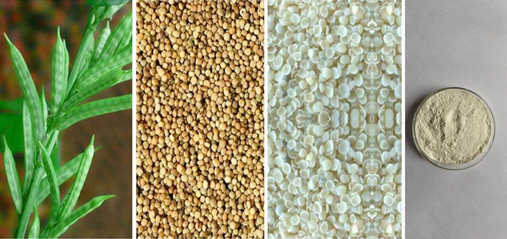 5000 Cps Guar Gum Powder, For Food Industry, Packaging Size: 25 kg