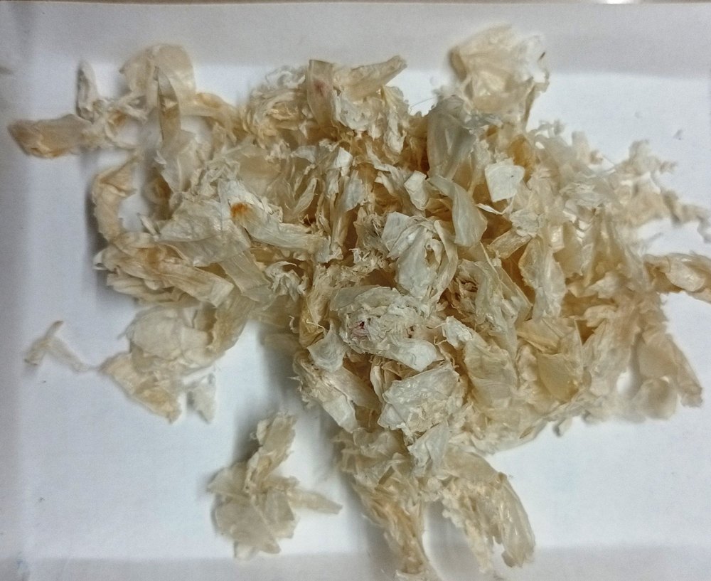 Powder Chitin Flakes