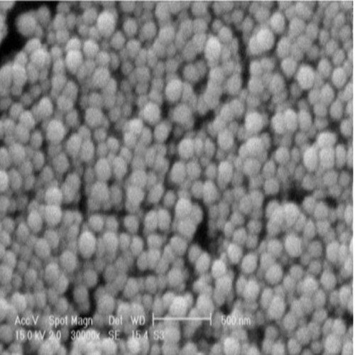 Chitin Nanoparticles