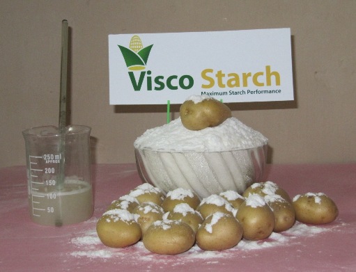 Pregelatinized Starch Potato