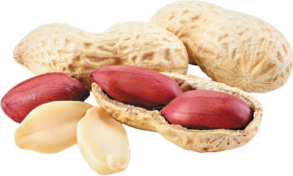 Aroma Atom Peanut Flavour, For Industrial, Packaging Size: 5 Kgs Jar