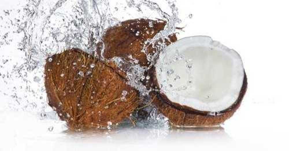 Coconut Flavour, Liquid, Packaging Size: 10 Kg