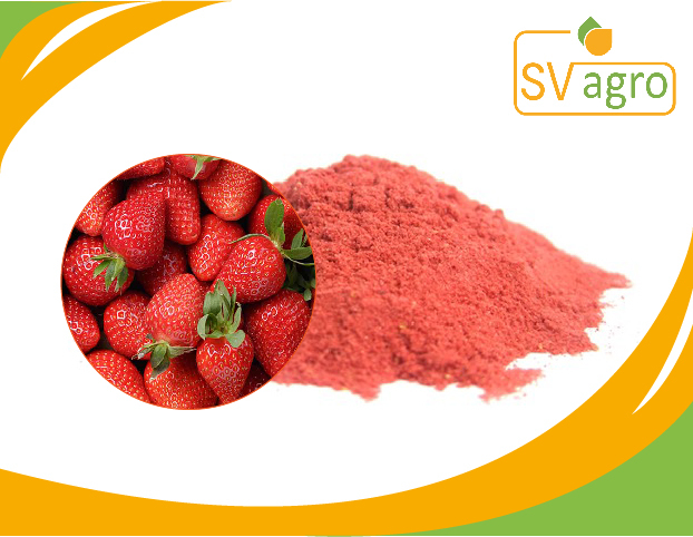 Spray Dried Strawberry Powder, Pack Size: 25 kg