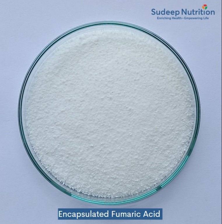 Encapsulated Fumaric Acid