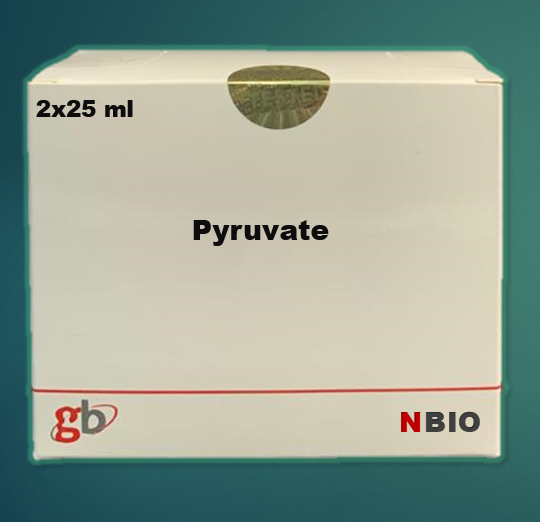 Pyruvate Kit, 2x25ML