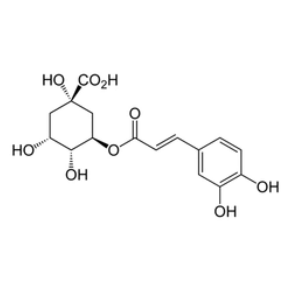 Powder Chlorogenic Acid, 327-97-9, Packaging Type: As Your Requierd