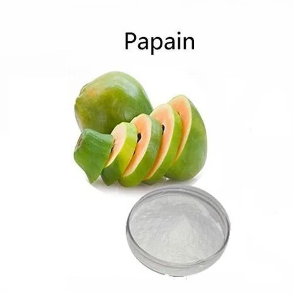 Papain Enzyme Powder, Packaging Type: Plastic Bag, Packaging Size: 25 Kg