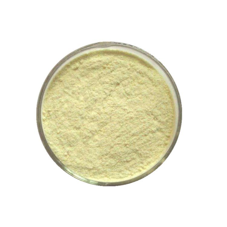 Brisk Membrane Extraction Bromelain Powder, For Industries, Packaging Size: 25 Kg