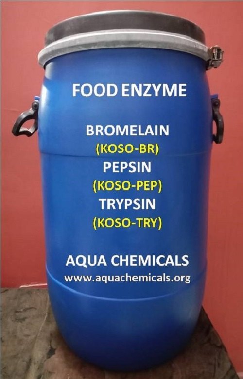 Food Enzymes (Bromelain, Pepsin, Trypsin), Powder, Packaging Type: Aluminum Foil And Drums