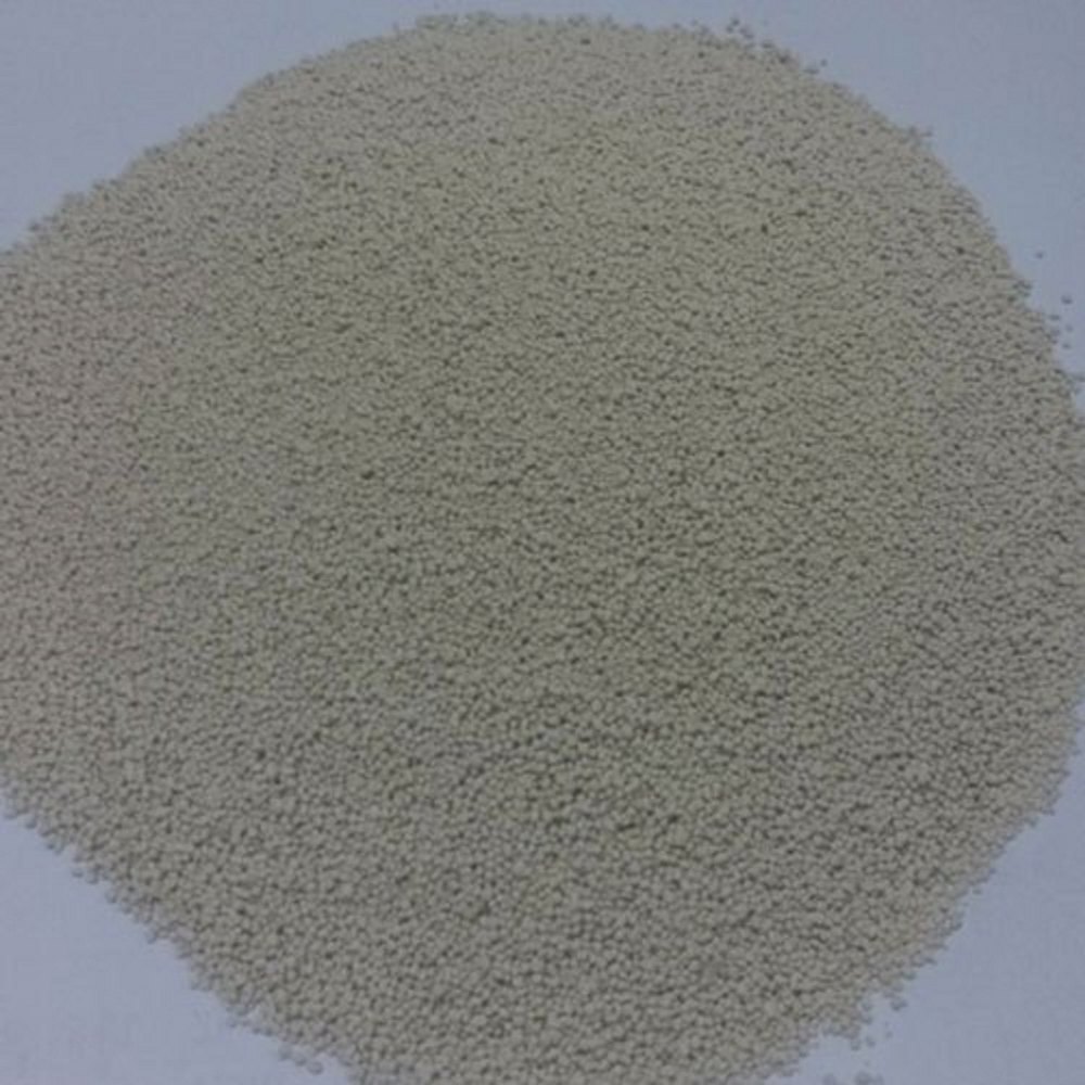 Fungal Lipase Powder, Packaging Type: Packet, Packaging Size: 1 Kg