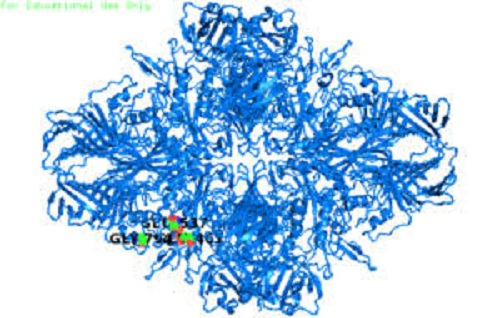 B-Galactosidase, For Multiple Industries, Packaging Type: 1 Kg Pouch