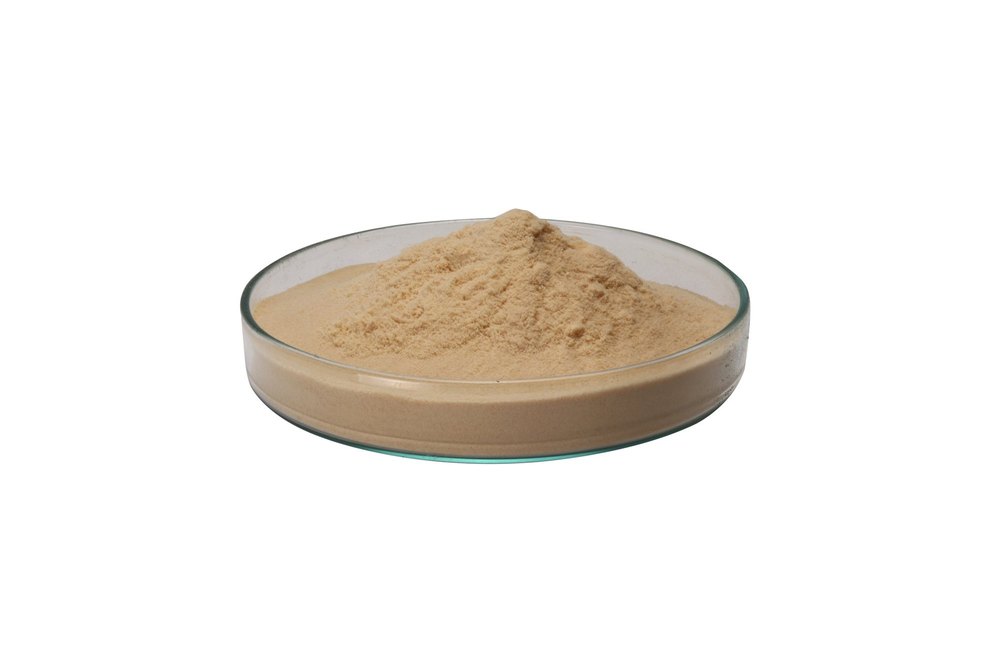 Fungal Lactase Enzyme Powder, Packaging Type: Bag Or Hdpe Drum