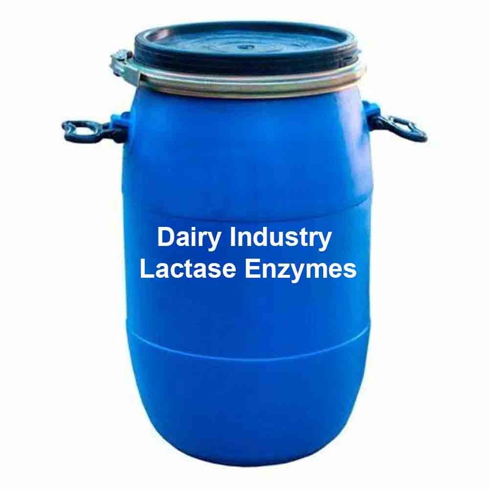 Dairy Industry Lactase Enzymes, Powder