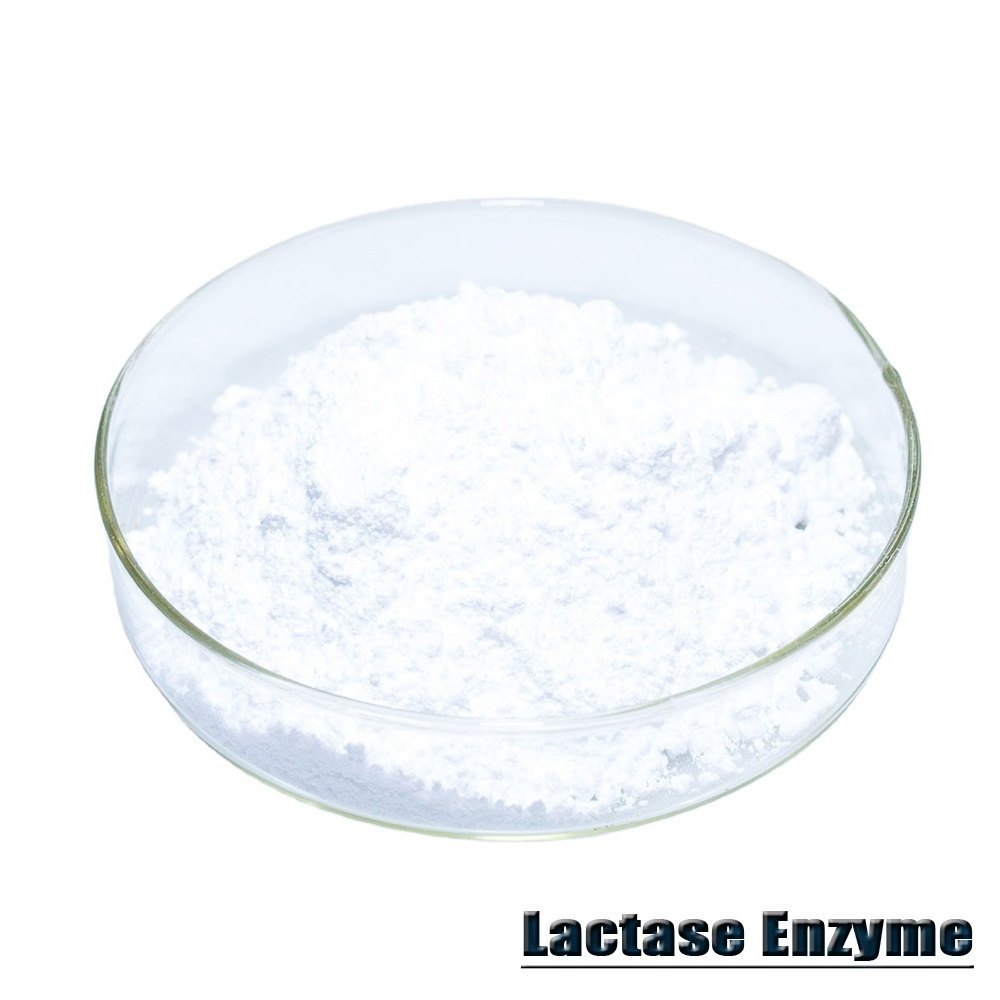 Lactase Enzyme Powder, Packaging Type: Hdpe Drum, Packaging Size: 25 kg