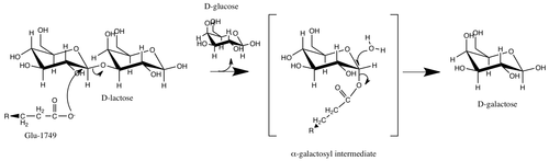 Lactase Chemical, For Industrial, Packaging Size: Standard