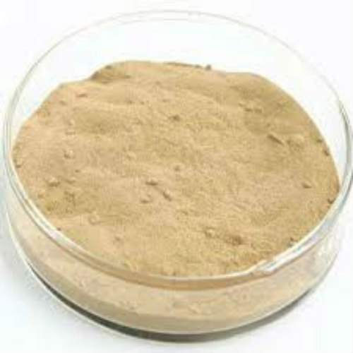 Brown Protease Enzyme, Powder And Liquid, Packaging Size: 25 Kg