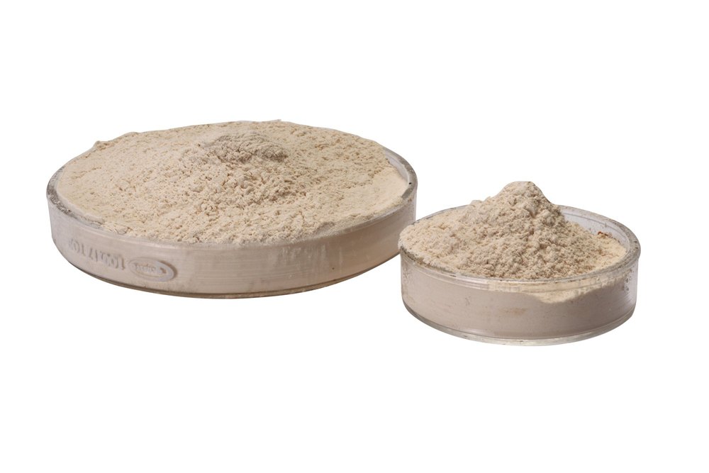 Fungal Protease enzyme, Powder, Packaging Type: Bag Or Hdpe Drum