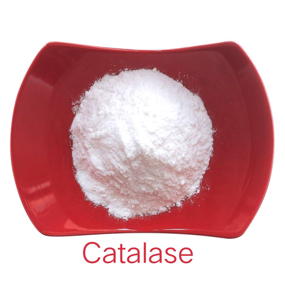 Catalase Powder, For Peroxide Killer, Packaging Type: Hdpe Drum