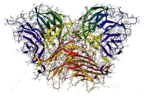 Invertase, WALPAR HEALTHCARE, Non prescription